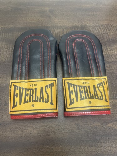 Everlast 4310 bag training - bag,