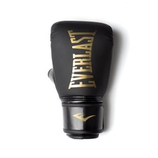 Boxing Everlast 100 Ibs