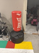 Everlast Silver PowerCore