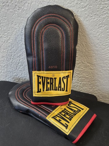 Everlast 4310 bag training - bag,