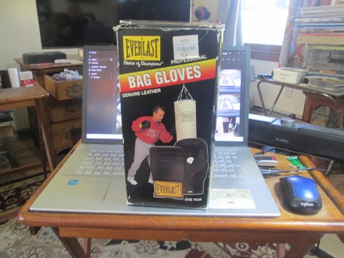 Everlast bag gloves - gloves, boxing