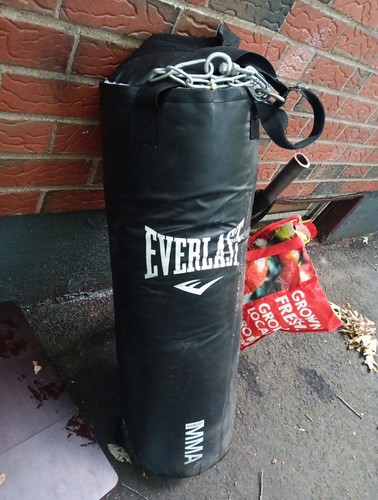 Everlast bag 14984 - bag, po#14984